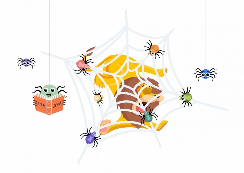 Spiders and Lions：The Power of Networks to influence change for Women in STEM