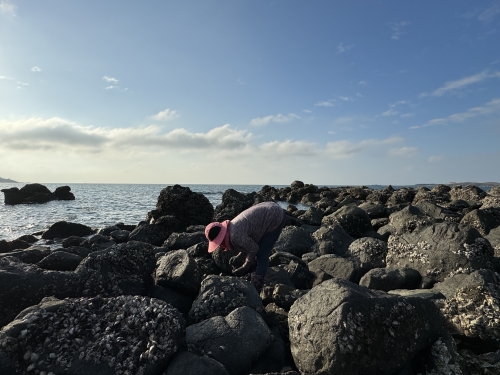 2025十月號214期 主編的話