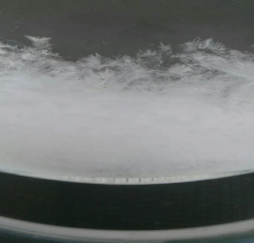 過飽和溶液被破壞而形成晶體狀態
